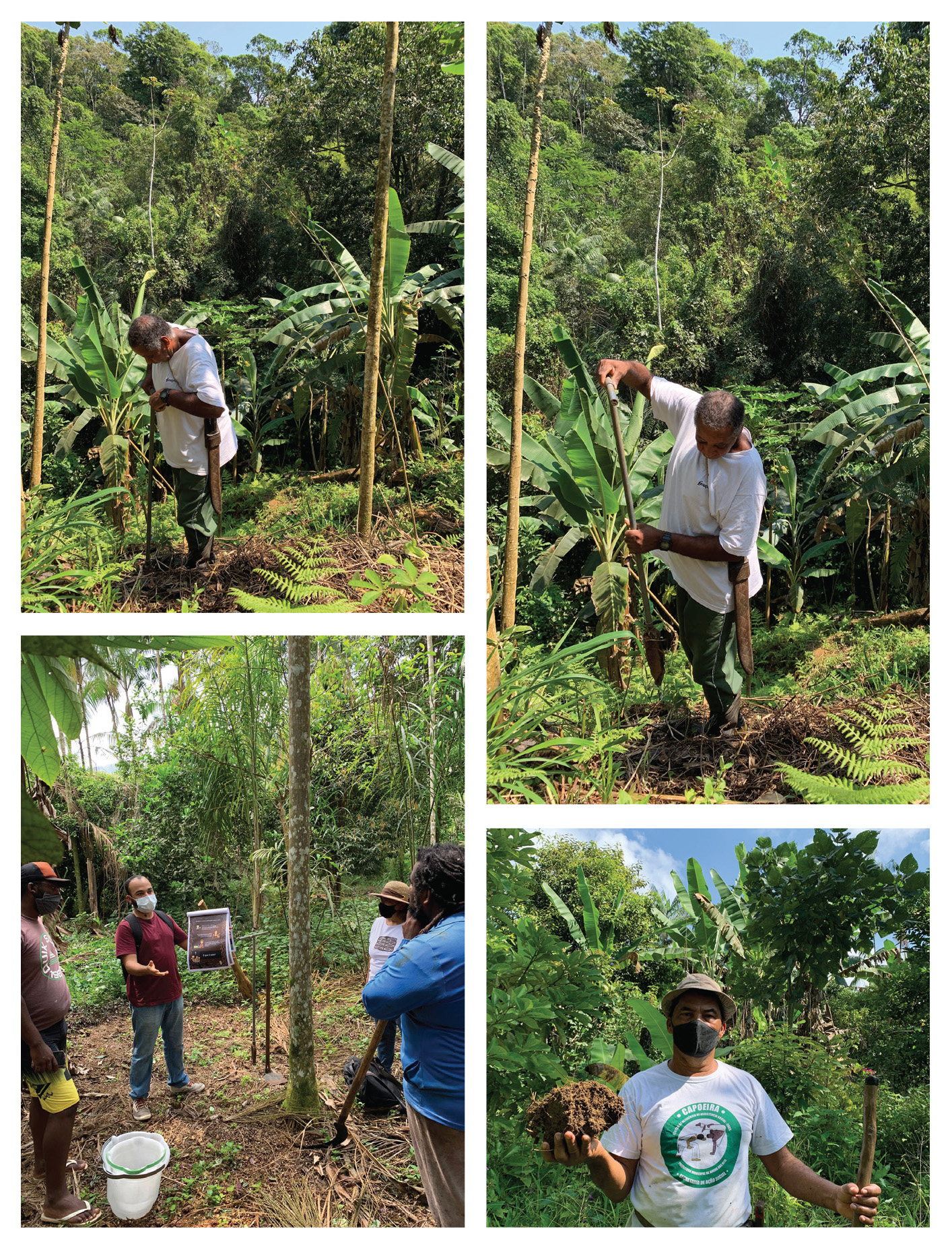 Colour photographs: Photos of farmers digging soil samples in fields and of the researcher demonstrating the soil sampling technique with buckets and shovels.