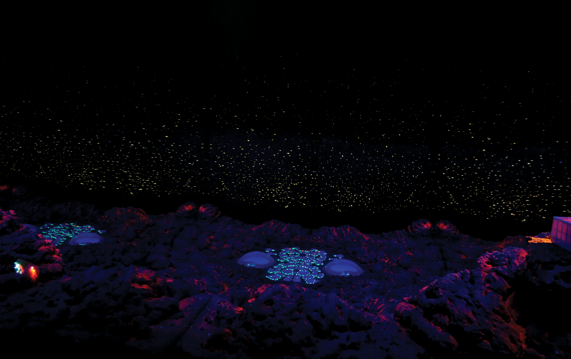 Colour photograph: A diorama of a landscape at night dominated by pink and blue lights; above is a sky full of stars.