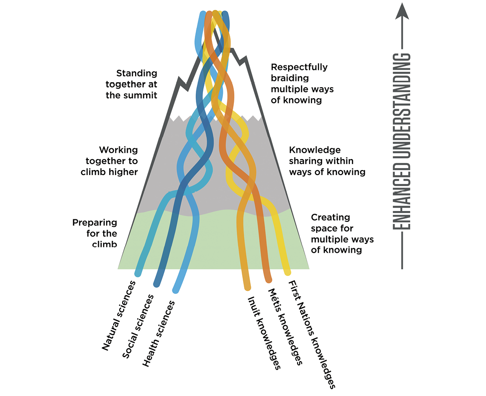 Organizational schematic