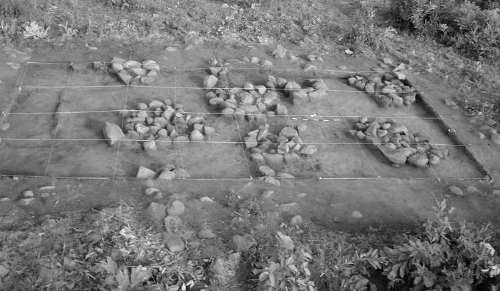 Stones are found arranged in clusters after the pot-filled layer was removed from the excavation area.