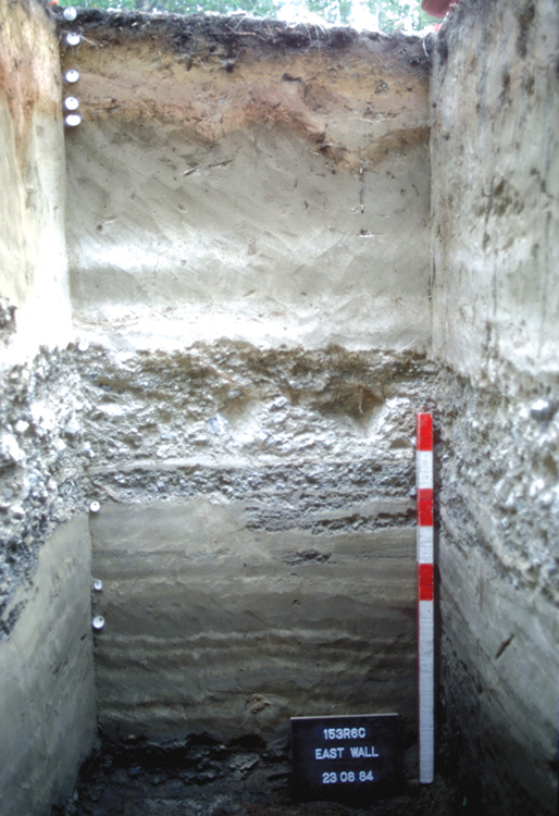 12-Fig4.jpg