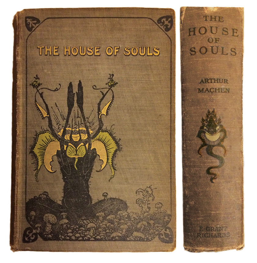  Colour photograph: The front cover and spine of The House of Souls, by Arthur Machen; the cover features a grotesque illustration of a plant-human hybrid figure seated on the ground; the spine has another grotesque creature.