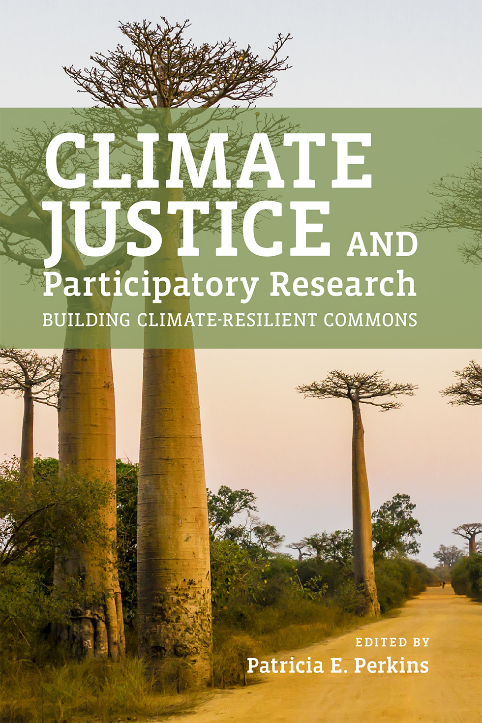 Cover: Climate justice and participatory research : building climate-resilient commons. Edited by Patricia E. Perkins.