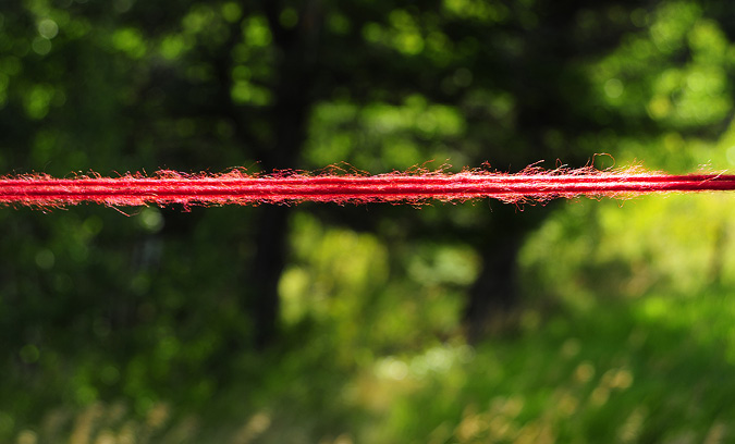 A landscape-formatted image of a piece of red wool stretched from the left side of the view to the right, with a faded view of grasses in the background.