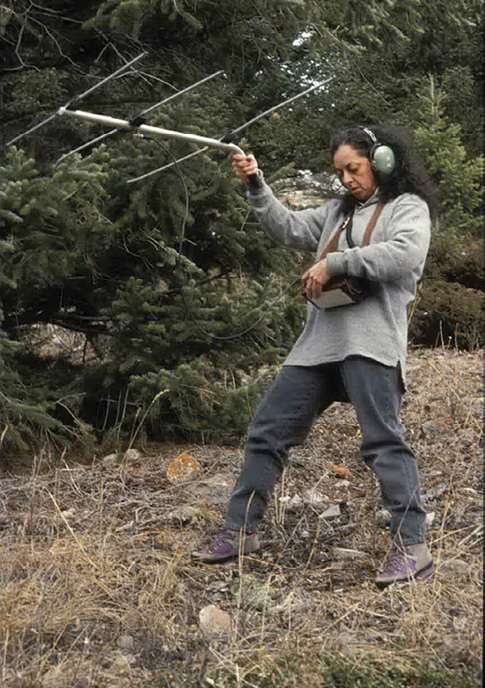 Woman standing in forest holding radio antenna