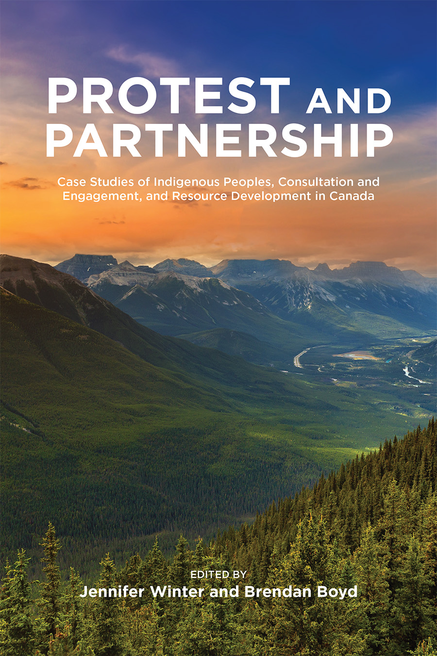 Cover of Protest and partnership by Jennifer Winter and Brendan Boyd