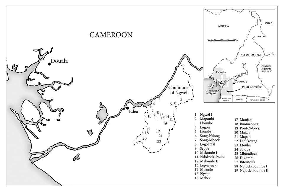 Black and white map: Map of south west Cameroon.