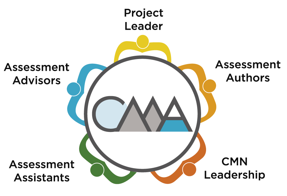 Organiztion graphic