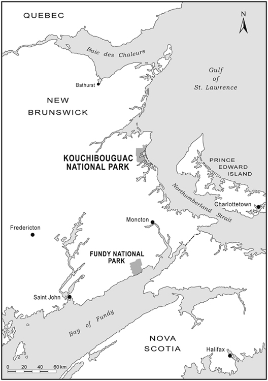 09-Fig2.jpg