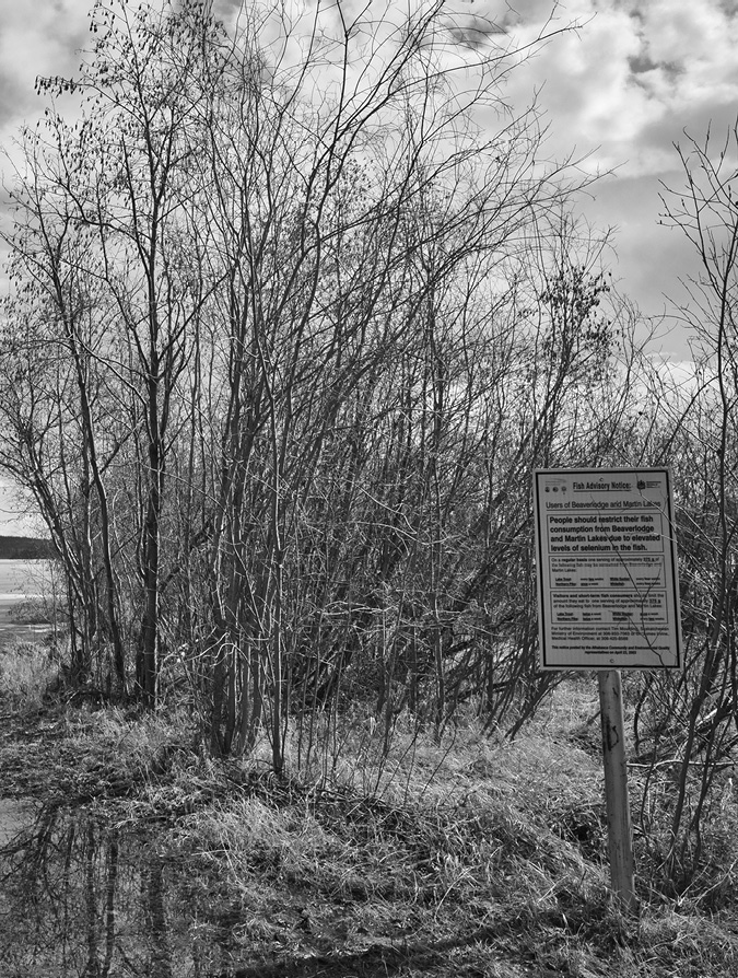 A white sign with black print is posted on a metal post in the grasses of a field next to a road. The sign warms of water contamination in the area.