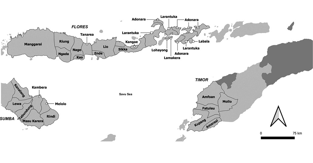 Black and white map. Map of Flores, the Savu Sea, and east Sumba and west Timor. The regions of these islands are outlined and labelled.