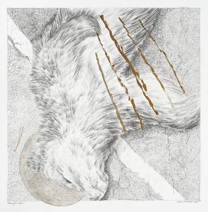 Hand-drawn sketch of deceased grizzly bear