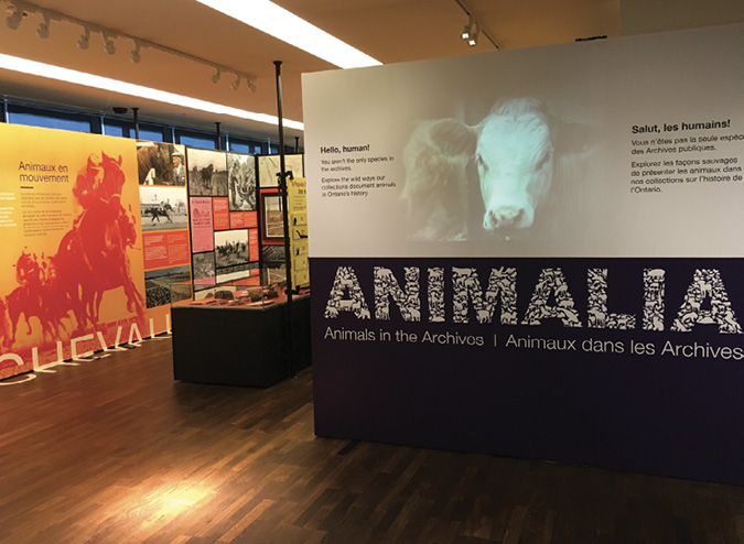 Photo of exhibit hall with name "Animalia" in large letters on a panel