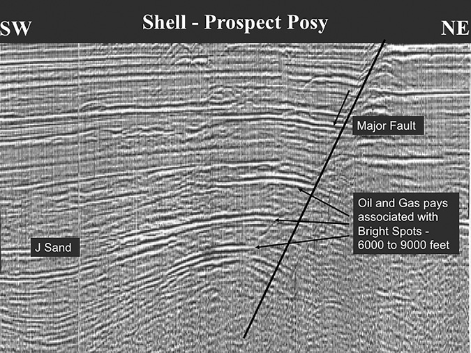 An image of seismic data showing amplitude anomalies corresponding to hydrocarbon deposits. The image resembles wood grain, and the anomolies are labelled along with a major fault slashing from the upper right to the lower centre of the image.