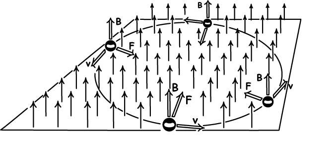 A charge in a vertically pointing magnetic B field moves in a circle under the influence of a magnetically induced force directed to the center of the circle