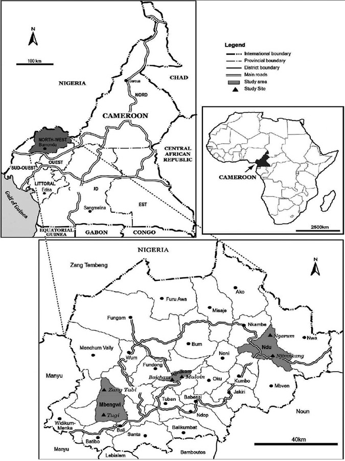 One image shows the location of Cameroon within Africa, pointing to the site at the junction of western and central Africa with an arrow. Another map image focuses in on the region of Cameroon at the north west of the country, bordering Nigeria. Finally another map focuses on the region and the three rural districts of interest in the study.
