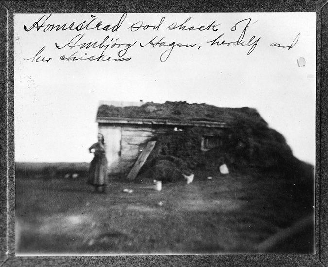An old somewhat faded photo of a rude claim shanty. It looks like it may be frame covered and roofed with sod. The left fourth of the house looks like rough boards, and the rest appears to be sod. The roof slants forward in the photo and appears to be plank covered with sod. There is one window in the right third of the house, partially obscured by a haystack. A woman stands in front of the house at its left corner. Part of her body is in front of the house and behind her and to the left of the house the prairie stretches to the horizon. She is wearing a long dress and perhaps a head scarf, but it is certain because the image is indistinct. There is a chicken and a bucket in front of the house. Hand-written across the top of the photo, across the sky is the description: “Homestead sod shanty of Ambjør Hagen, herself and her chickens.” 