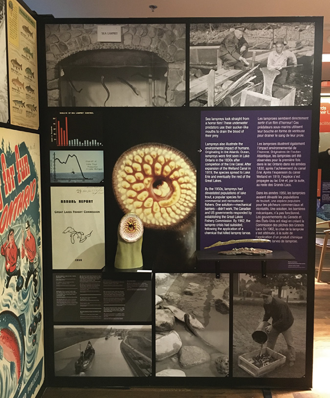 Photo of a gallery panel with text boxes, photographs, and documents