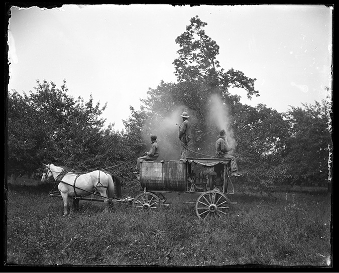 Three men sitting on back of horse-drawn spraying machine, spraying orchard