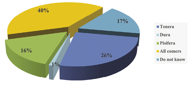 Colour graph: Graph shows “All comers” type of palm seeds are most commonly used.