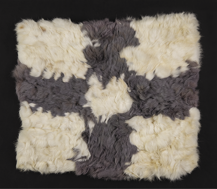 Photo: fuzzy rectangle in off-white with a grey cross through the middle and a white dot in the center. 