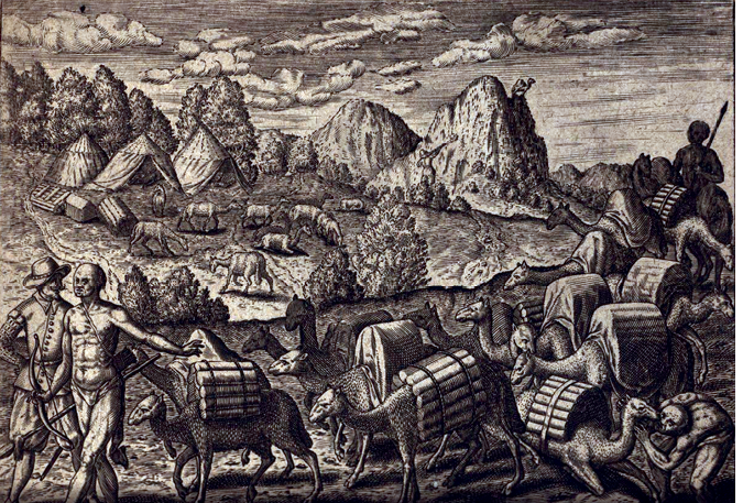 Illustration showing two men leading herd of llamas carrying cargo
