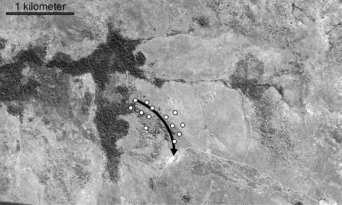 Black and white aerial photograph. A landscape, around 5km by 3km, which is forested on the left side, and relatively open on the right. An arrow comes down from the forested area towards a road running through the bottom right of the map. 13 dots are scattered around the arrow showing the locations of villages.
