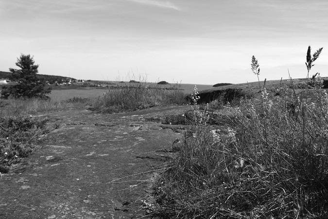 Black and white photograph: Patches of dry grass cover the hilly, stony ground. In the foreground are various wild grasses and flowers. There are low, wispy clouds in the sky. Out of focus and in the distance is Lake Athabasca. The shore is lined with various buildings. Three, small forested islands are on the horizon.