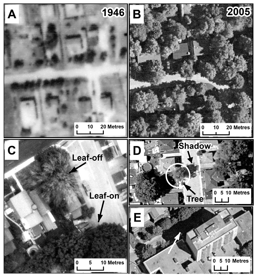 06_fig_(2).tif