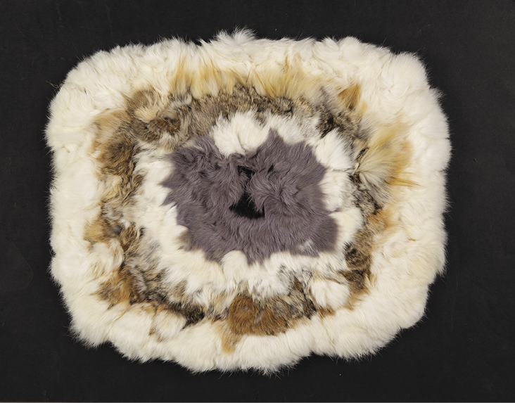 Photo: fuzzy rectangle in mostly off white with circles in shades of brown going into a grey center.