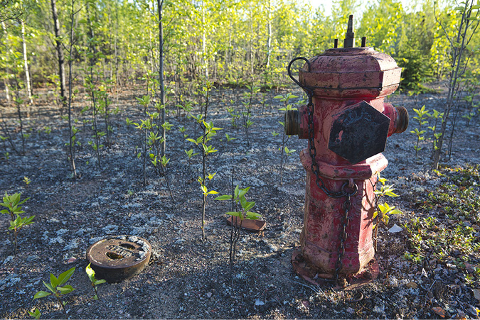 An old water hydrant is rusted, the top cap is off and sits a few feet to the side of the hydrant in an area of land with foliage and small shrubs growing around it.