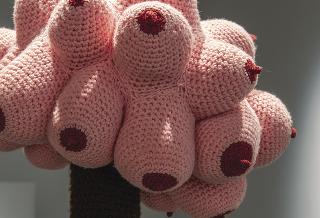 Photo: detail of the boob tree — dozens of pink knit blobs with dark red nipples in a collection like a bouquet.
