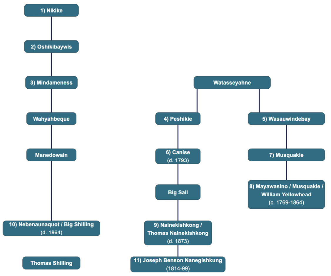 Colour diagram. Family tree style diagram showing two lines of descent, one from Nikike on the left, and the other from Watasseyanhe on the right. The Nikike family is a straight line of descent, while Watasseyahne’s divides into two branches.
