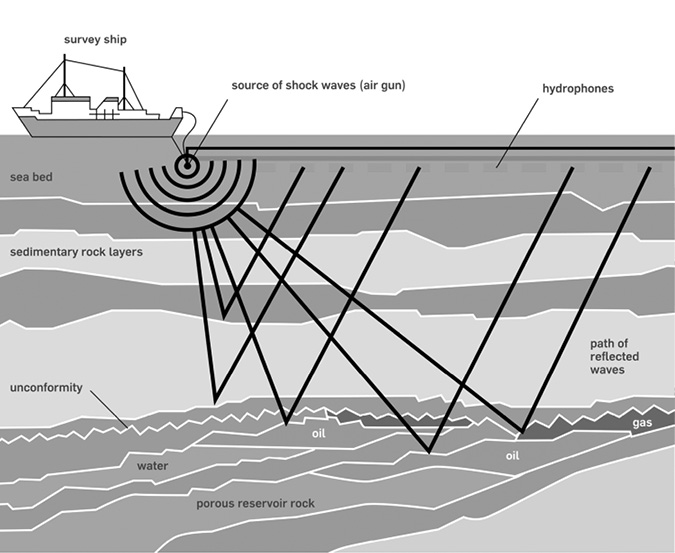 An illustrated image of a offshore survey ship emitting shock waves which pass through and reflect off the various layers of water, sediment, bedrock, and oil and gas reserves visible in cross section under the ship. The shockwaves are traced from their source to their points of reflection, then back up to the surface of the water, where they are registered by hydrophones trailing the survey ship.