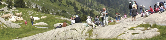 13-Fig2.jpg