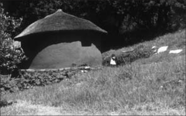 A stone hut with a square window is located on a field with overgrown shrubs.