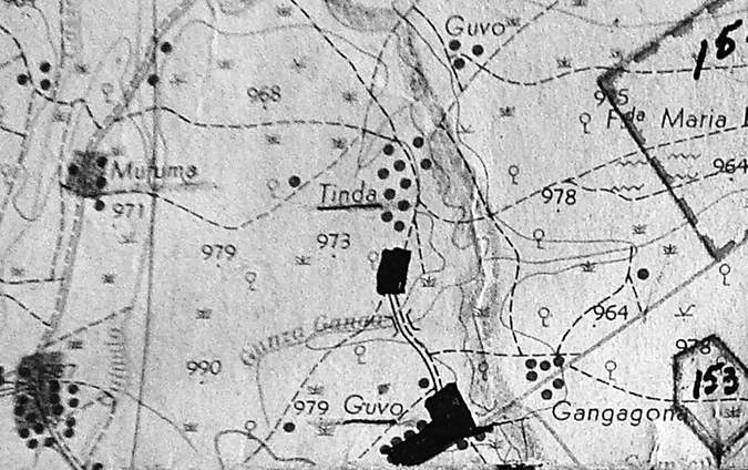 Black and white map extract. Shows villages with black dots and patches, including Guvo, Tinda, Muruma, and Gangagona. Topographic lines cross along the map, along with a ridgeline running down the centre. Small illustrations of plants are present across the map. A dotted box stretches off into the top right of the map. 