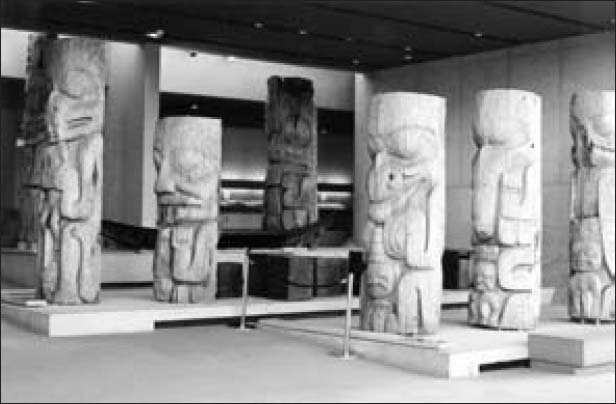 Six totem poles aligned in two rows in a museum.