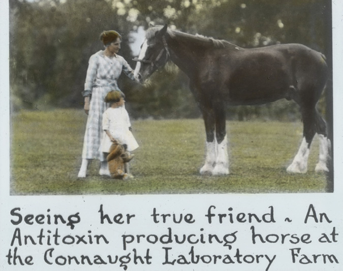 Woman and child petting a horse