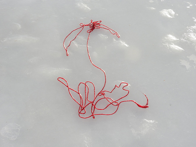 A piece of red string formed into a pattern, now frozen in place, sits on a glistening icy ground.