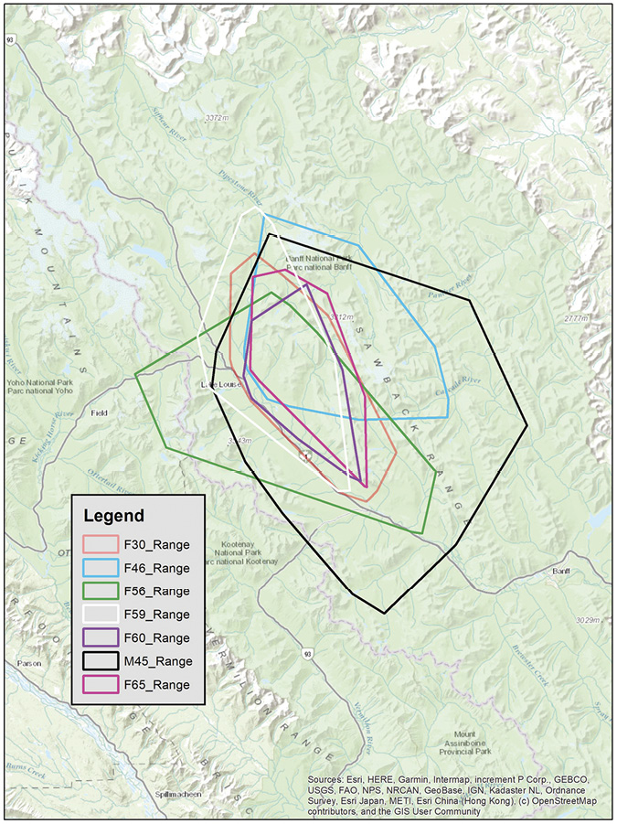 Map of Rocky Mountains in Canada with coloured vector lines in middle