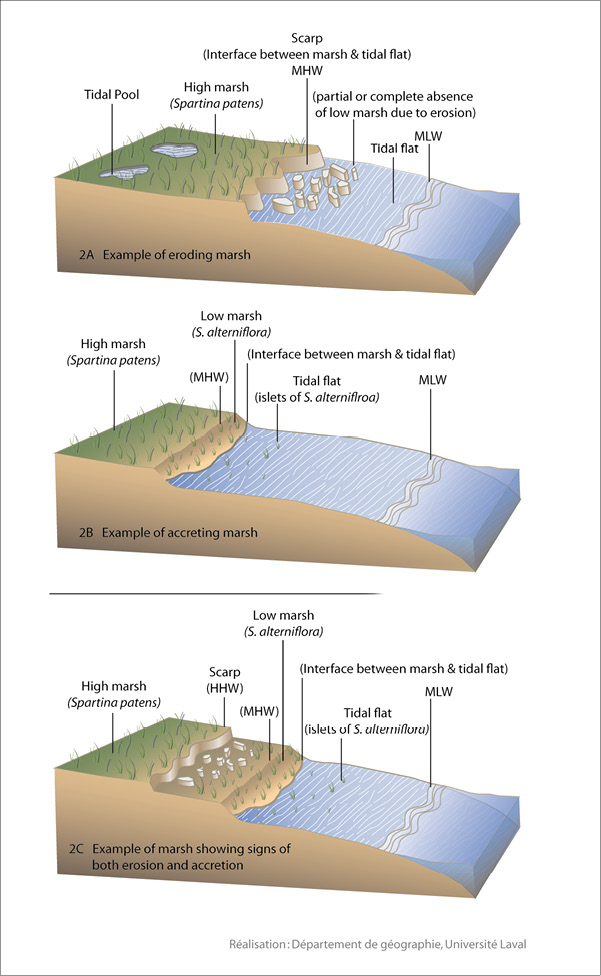 09_Fig2_mc.tif