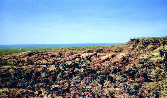 The expanse of arid grassland in the savanna of the Pimentel Barbosa Indigenous Land reserve reveals areas of sparse, rounded, low growing shurbs. Uniquely shaped and windblown shrubs bear arid climate and strong winds, the earth is hill and parched.