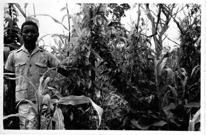 A black and white photograph shows Mr. Mark Nwadike standing beside grown yams.