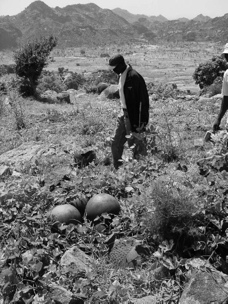 A man in a jacket stands in front of two jars in a grassy field.  Another man stands nearby. The field is lined with small hills.