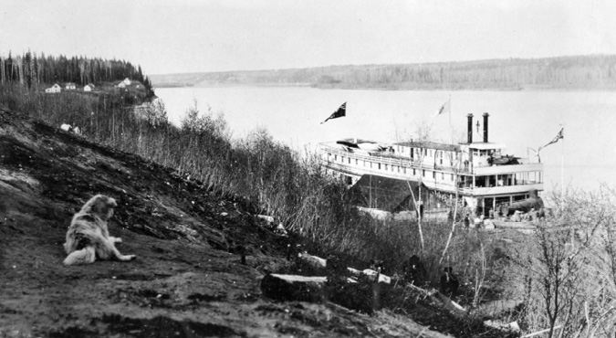 The black and white image depicts a steamboat docked alongside a riverbank. The vessel is large with two tall smokestacks, multiple decks, and several flags flying from masts. In the foreground, a rough dirt slope leads down to the water, with some sparse vegetation and a dog sitting attentively facing the river. On the far bank, a dense forest of tall trees can be seen, with a few small structures near the water's edge. The river is wide, and the landscape stretches into the distance, emphasizing the isolation and tranquility of the scene.