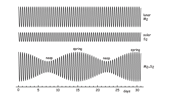 Lunar and solar cycles are simple sine curves with constant amplitude. Their sum is a sine curve whose amplitude also varies sinusoidally