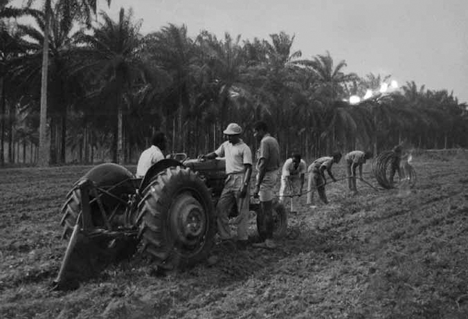 A black and white photograph shows a tractor on an agricultural field. Water is connected to the tractor and the three men are holding the pipe.