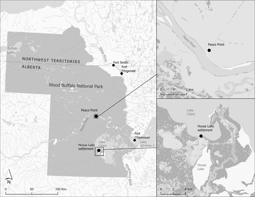 Black and white map: A map of settlements at House Lake and Peace Point. 