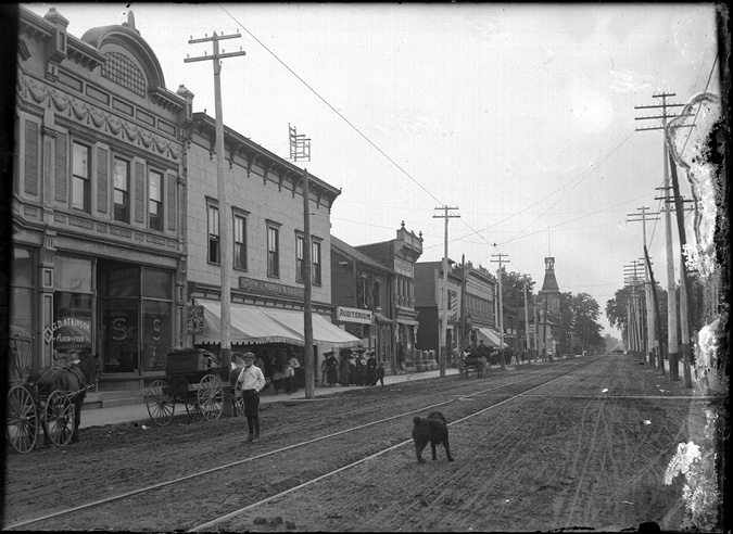 Photo of a dog standing in the middle of a street
